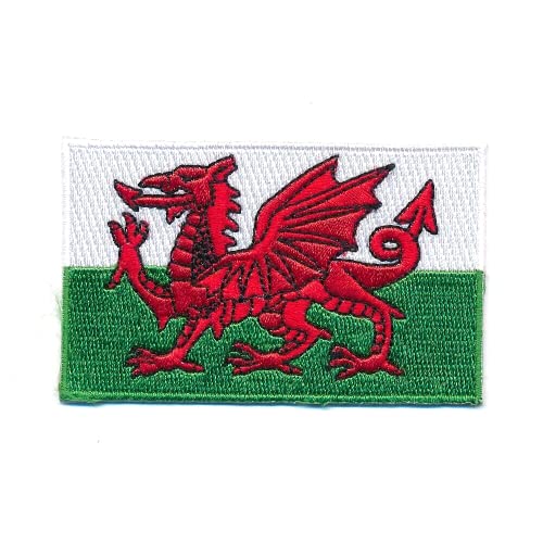 60 x 35 mm Wales Cardiff Flagge Flag Europa GB EU Edel Aufnäher Aufbügler 1207 B von hegibaer
