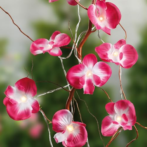 hellum LED Lichterkette innen mit rosa Orchideen, 10 LED warmweiß mit 1,35m Länge mit Batterie, Lichterkette Blumen, Dekoration 300178 hellum LED Lichterkette innen mit rosa Orchideen, 10 LED warmweiß mit 1,35m Länge mit Batterie, Lichterkette Blumen, Dekoration 300178 von hellum