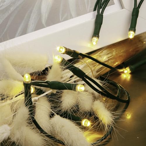 hellum LED Mini Lichterkette Innen, 10 mini LED Lichter, 135cm beleuchtete Länge, Lichterkette Strom mit Stecker, Kabel grün, warmweiß innen, für Weihnachtsbaum 577532 von hellum