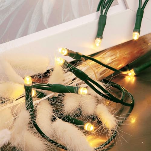 hellum LED mini Lichterkette innen, 2,85m Lichtlänge 20 LED Lichterkette innen, klassisch warmweiß mit Stecker, < 59lm, für Weihnachtsbaum Kabel grün, 577549 von hellum