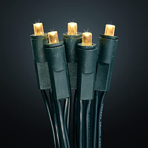 hellum mini LED-Lichterkette innen, Licht, 220V strombetrieben, Innenbeleuchtung, 20er LED beleuchtete Länge 2,85m, Kabel grün Wohnzimmer, 7 cm ø 563214 hellum mini LED-Lichterkette innen, Licht, 220V strombetrieben, Innenbeleuchtung, 20er LED beleuchtete Länge 2,85m, Kabel grün Wohnzimmer, 7 cm ø 563214 von hellum