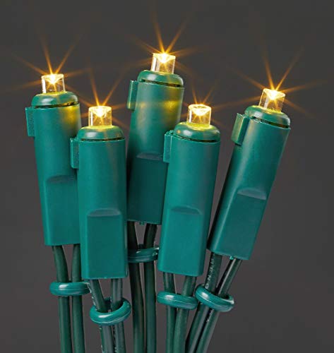 hellum 100-tlg. LED Lichterkette innen mit Stecker und grünem Kabel, mini Lichterkette mit 100 warmweißen LED, mit Stecker für innen mit beleuchteter Länge 14,85 m unter 59 lm 563917 von hellum