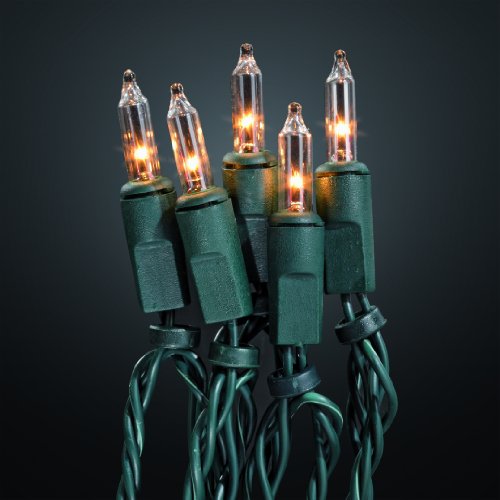 hellum 500417 40-teilige Mini-Lichterkette für außen, klare Pisellokerze mit Stecksockel, inkl. Ersatzlämpchen, Fassungsabstand 15 cm, Gesamtlänge 15,85 m, davon 10 m grünes Zuleitungskabel von hellum