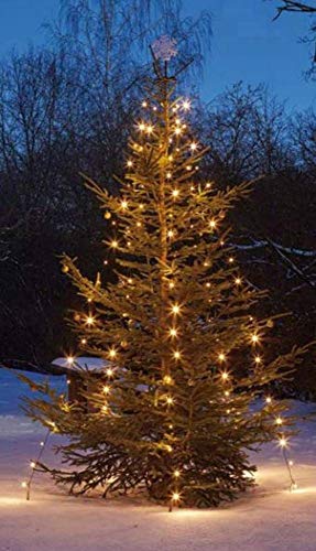 hellum Christbaumbeleuchtung für außen, 220 LEDs warmweiß, 10 Stränge mit Fixierung, Höhe 180cm, Weihnachtsbaum Lichterkette mit grünem Kabel, Zuleitung 5m, <59lm 577907 hellum Christbaumbeleuchtung für außen, 220 LEDs warmweiß, 10 Stränge mit Fixierung, Höhe 180cm, Weihnachtsbaum Lichterkette mit grünem Kabel, Zuleitung 5m, <59lm 577907 von hellum