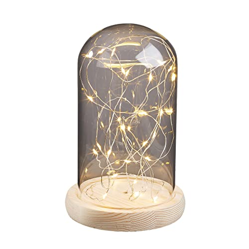 hellum Glasglocke mit Lichterkette warmweiß 30 LEDs, Glasglocke mit Holzboden Höhe 19,5cm Ø12cm, Deko batteriebetrieben (nicht inklusive) mit Timer Valentinstag Dekoration 523713 von hellum