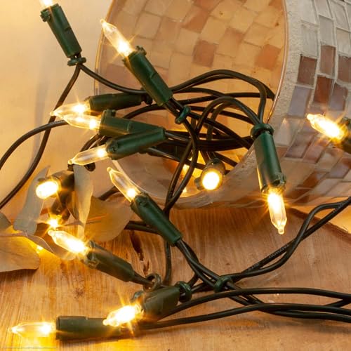 hellum Lichterkette innen mit 100 LEDs, Weihnachtsbaum Lichterkette warmweiß, 14,85m beleuchtet mit grünem Kabel, für innen mit Stecker 1,5m Zuleitung <59lm 150230 hellum Lichterkette innen mit 100 LEDs, Weihnachtsbaum Lichterkette warmweiß, 14,85m beleuchtet mit grünem Kabel, für innen mit Stecker 1,5m Zuleitung <59lm 150230 von hellum