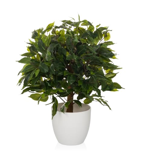 hjh OFFICE Kunstpflanze 65 cm FICUS II Deko Pflanze künstlich, Birkenfeige, pflegeleichter Kunstbaum von hjh OFFICE
