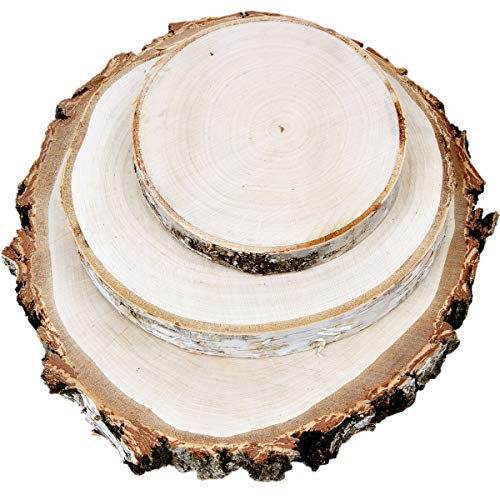 Holzscheiben 3er Set große Baumscheiben Ø 15 bis 35 cm Rindenscheiben Holz Birke von holzalbum