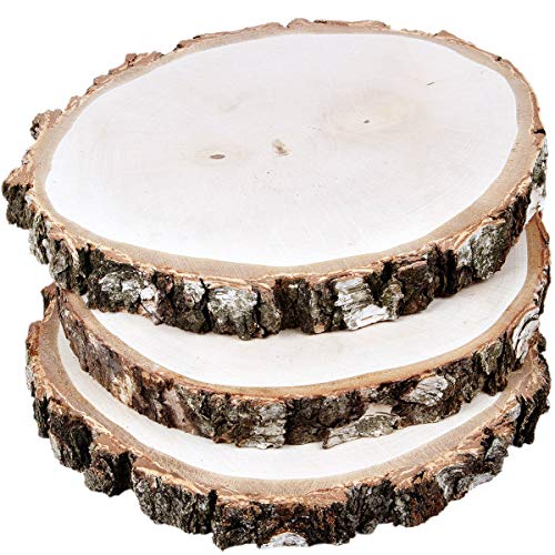 große, schwere Birkenscheiben 3 Stück Holz Natur Ø 25-35 cm Holzscheiben unbehandelt von holzalbum
