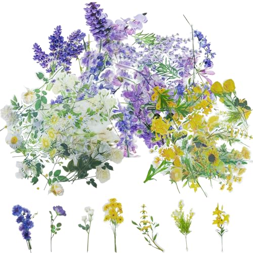 Hurifeng 120 Vintage Blumen Sticker Aufkleber Set – Transparente PET Pflanze Scrapbook Deko für Tagebuch, Basteln, DIY – Botanisch Floral Ästhetisch für Journaling, Scrapbook Zubehör, Fotoalbum, Lapto Hurifeng 120 Vintage Blumen Sticker Aufkleber Set – Transparente PET Pflanze Scrapbook Deko für Tagebuch, Basteln, DIY – Botanisch Floral Ästhetisch für Journaling, Scrapbook Zubehör, Fotoalbum, Lapto von hurifeng