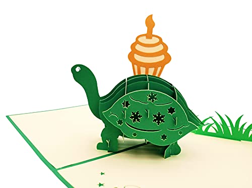iGifts And Cards Einzigartige Schildkröte mit Cupcake, 3D-Pop-Up-Grußkarte – lustiges Tier, Schildkröte, Kuchen, Kerze, cool, halbgefaltet, verspäteter Geburtstag, Happy Birthday, Feier, Cumpleanos iGifts And Cards Einzigartige Schildkröte mit Cupcake, 3D-Pop-Up-Grußkarte – lustiges Tier, Schildkröte, Kuchen, Kerze, cool, halbgefaltet, verspäteter Geburtstag, Happy Birthday, Feier, Cumpleanos von iGifts And Cards