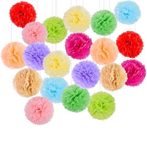 Seidenpapier Pompons 20 Stück, 25cm Papierblumen Bunt Deko Papier Pom Poms Hängende Partydeko Blumenpuscheln Papierlaternen für Hochzeit Geburtstag Valentinstag Gartenparty von iMeshbean