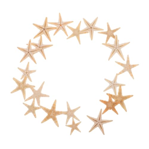 ibasenice 20 Stück Natürliche Seesterne Deko für DIY Projekte Strandthema Epoxidharz Zubehör Aromakerzen Herstellung Wohnkultur und Partydekoration von ibasenice