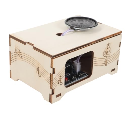 ibasenice Holzbausatz Phonograph Spieluhr DIY Sound Recorder Musikbox Modell Lernspielzeug aus Holz und Tragbar Klarer Wissenschaftliches Experiment für Junge Mädchen von ibasenice