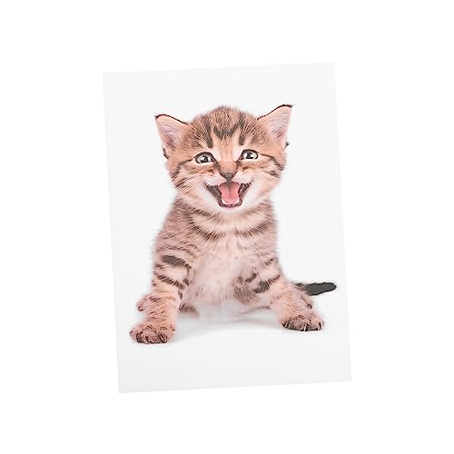 ibasenice Kreativer Katzen Wandaufkleber Abnehmbarer Toilettendeckel Sticker Pvc Niedliche Tier Wanddekoration Für Badezimmer Wasserfest Und Selbstklebend Für ibasenice Kreativer Katzen Wandaufkleber Abnehmbarer Toilettendeckel Sticker Pvc Niedliche Tier Wanddekoration Für Badezimmer Wasserfest Und Selbstklebend Für von ibasenice