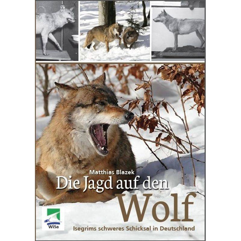 Die Jagd Auf Den Wolf - Matthias Blazek, Kartoniert (TB) von ibidem
