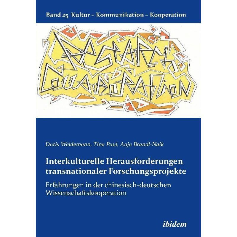 Interkulturelle Herausforderungen Transnationaler Forschungsprojekte - Doris Weidemann, Tina Paul, Anja Brandl-Naik, Kartoniert (TB) von ibidem