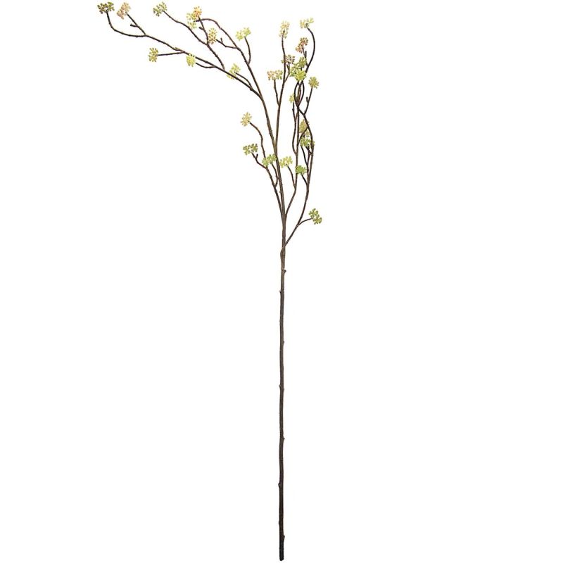 Dekozweig Knospen grün-braun 106cm Dekozweig Knospen grün-braun 106cm von idee. Creativmarkt
