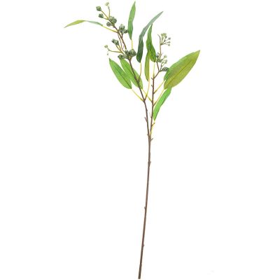 Eukalyptuszweig mit Knospen 68cm von idee. Creativmarkt