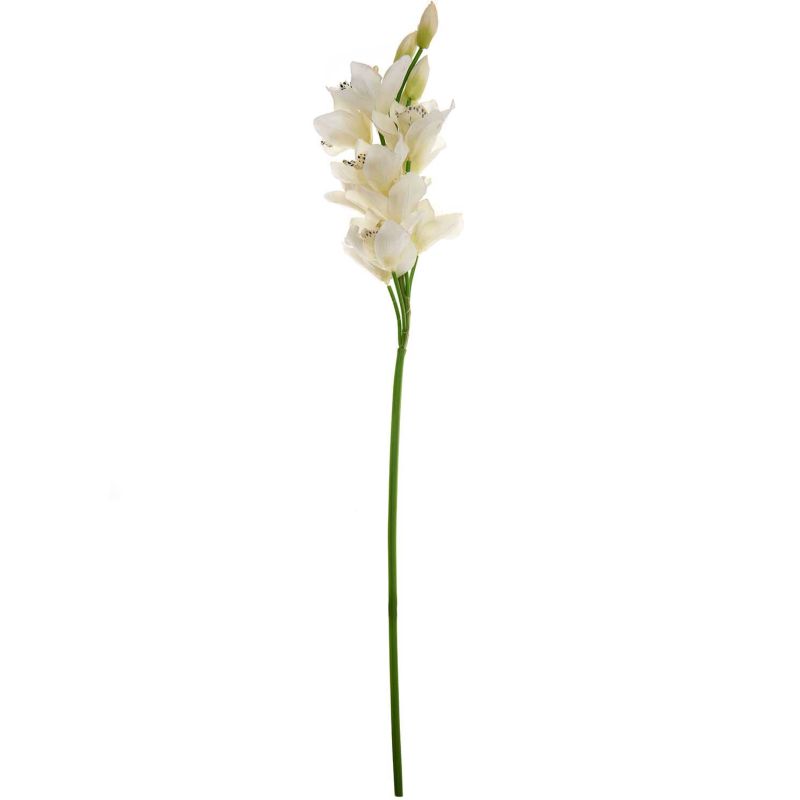 Orchidee weiß 73cm von idee. Creativmarkt