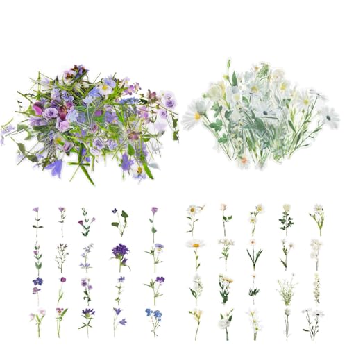 ieron 80-teiliges Blumenaufkleber-Set, selbstklebende Papieraufkleber im Blumenstil, für Sammelalben, Buchstaben, Wand, Notizbuch, Tagebuch, Karten, Fenster, Handyhüllen, Laptopherstellung (Stil A) von Ieron