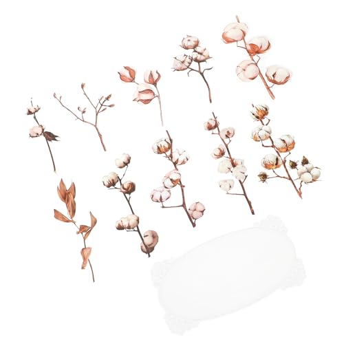ifundom Pflanzen Themenaufkleber Selbstklebende Pet Sticker für DIY Scrapbooking Journals und Dekoration Hochviskose Rückstandsfrei Abziehbar Vielseitig Einsetzbar von ifundom