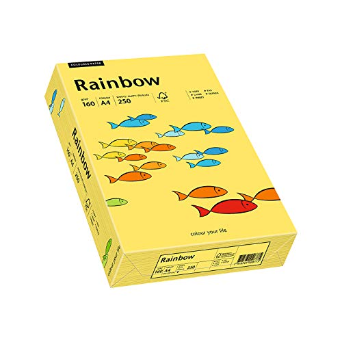 Papyrus 88042351 Drucker-/Kopierpapier farbig, Buntpapier: Rainbow 160 g/m², A4, 250 Blatt, matt, gelb von Papyrus