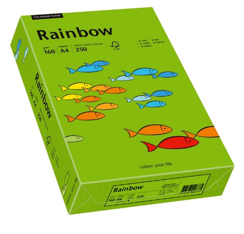 Papyrus 88042681 Drucker-/Kopierpapier farbig: Rainbow 160 g/m² A4 250 Blatt, Buntpapier matt, grün von Papyrus