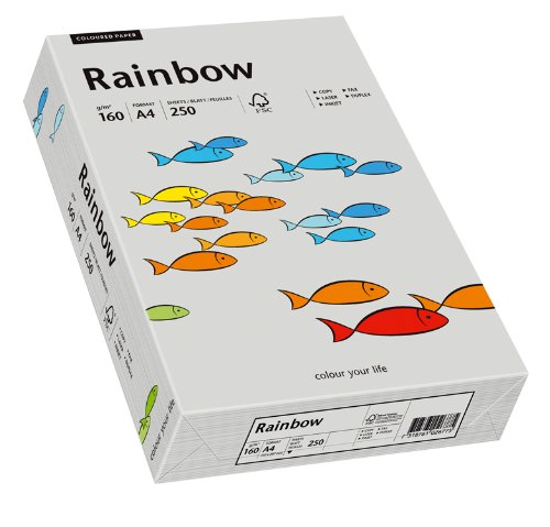 Papyrus 88042813 Druckerpapier Rainbow 160 g/m², A4 250 Blatt grau von Papyrus