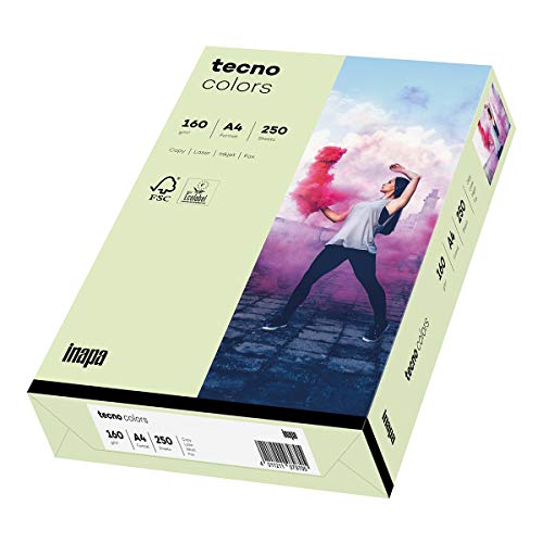 inapa farbiges Druckerpapier, buntes Papier tecno Colors: 160 g/m², A4, 250 Blatt, hellgrün von inapa