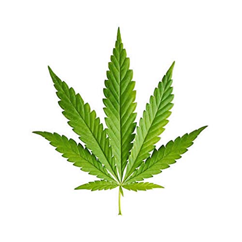2 x Cannabis Bügelbild für Stoffe Marihuana Pflanze Blatt DIY Weed Hanf Patch von inking house