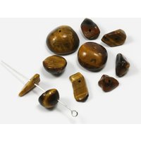 Edelstein Perlen, Tigerauge, 6-17 mm, 50 Stück von inwaria