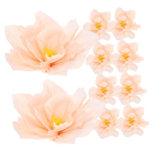 iplusmile 10 Stück Blumenstrauß aus Krepppapier Partypapierblumen große Papierblumen Blume für Schreibtischdekorationen Papierblume für die Hochzeit Papierblumen selber machen Rosa iplusmile 10 Stück Blumenstrauß aus Krepppapier Partypapierblumen große Papierblumen Blume für Schreibtischdekorationen Papierblume für die Hochzeit Papierblumen selber machen Rosa von iplusmile