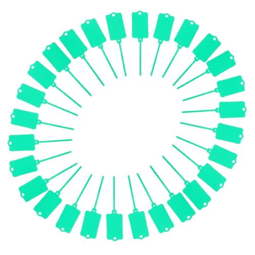 iplusmile 100 Stück Grüne Kunststoff Etiketten Flexibel Doppelseitig Beschreibbar Vielseitige Lager und Versandtags für Kabel Gepäck Produkte und iplusmile 100 Stück Grüne Kunststoff Etiketten Flexibel Doppelseitig Beschreibbar Vielseitige Lager und Versandtags für Kabel Gepäck Produkte und von iplusmile