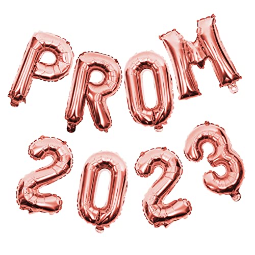 iplusmile 2 Sätze 2023 Klassenzimmer dekorative Luftballons Dekorationen für den Abschlussball Luftballons Girlande Pink LED Abschluss-Ballon-Kit Abschlussballondekoration von iplusmile