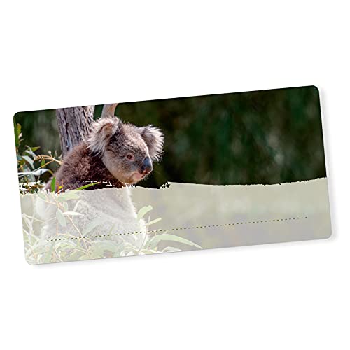 itenga 40x Buchetiketten Heftetiketten 9x4,5cm I Schulheft Etiketten I Namensschild beschreibbar selbstklebend Aufkleber aus Haftpapier (Koala) von itenga