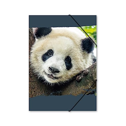 itenga Gummizugmappe mit Motiv DIN A4 - Sammelmappe Eckspanner - für Kinder Jugendliche Schüler Mädchen Jungen (Panda -A4) von itenga
