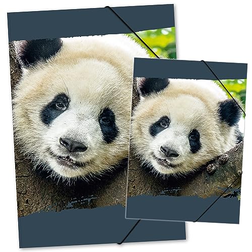 itenga Set Zeichenmappe DIN A3 und Sammelmappe DIN A4 mit Motiv - Gummizugmappe Sammelmappe - für Kinder Jugendliche Schüler Mädchen Jungen (Set A3 und A4 Motiv Panda) von itenga