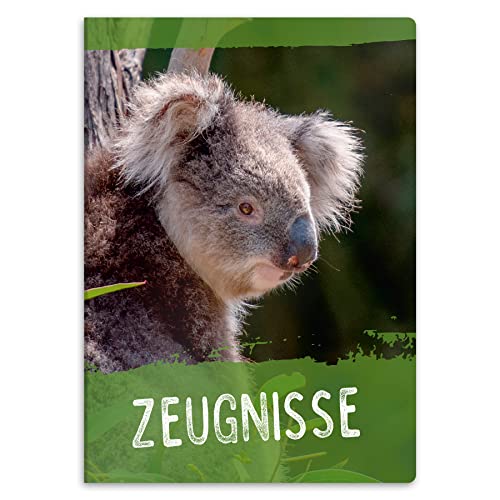 itenga Zeugnismappe mit Motiv DIN A4 stabile Dokumentenmappe Sichtbuch für Zeugnisse - 20 stabile Hüllen - für Kinder Jugendliche Schüler Mädchen Jungen (Motiv Koala) von itenga