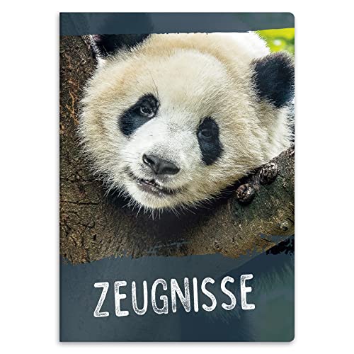 itenga Zeugnismappe mit Motiv DIN A4 stabile Dokumentenmappe Sichtbuch für Zeugnisse - 20 stabile Hüllen - für Kinder Jugendliche Schüler Mädchen Jungen (Motiv Panda) von itenga