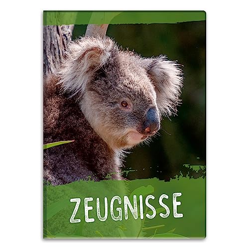 itenga Zeugnismappemit Motiv DIN A4 Dokumentenmappe Zeugnisse - für Kinder Jugendliche Schüler Mädchen (Koala) von itenga