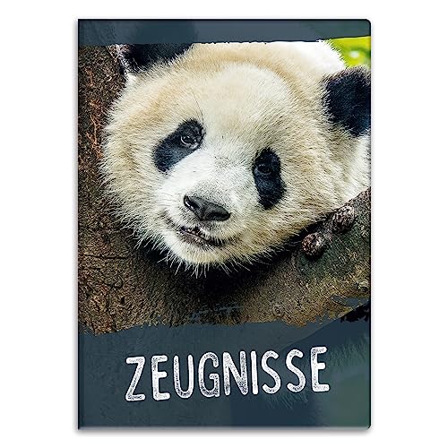 itenga Zeugnismappemit Motiv DIN A4 Dokumentenmappe Zeugnisse - für Kinder Jugendliche Schüler Mädchen (Panda) von itenga