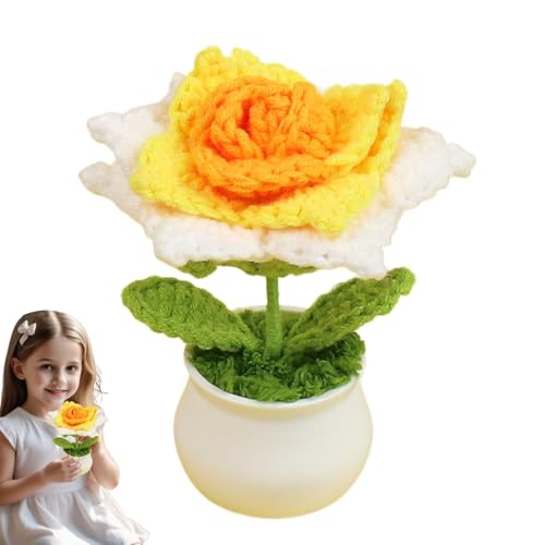 jamgeery Häkelblume, handgefertigte gestrickte Rosen, gehäkelte Topfpflanzen, Farbverlauf, Bunte, Häkel-Schreibtisch-Dekorationen für Auto, Armaturenbrett, Heimbüro von jamgeery