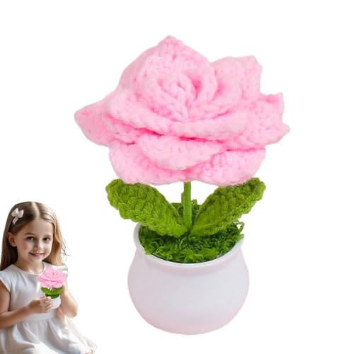 jamgeery Häkelblumen, handgefertigte Strickblumen, gehäkelte Rosen – Farbverlauf, Bunte, Häkel-Schreibtisch-Dekorationen für Auto, Armaturenbrett, Heimbüro von jamgeery