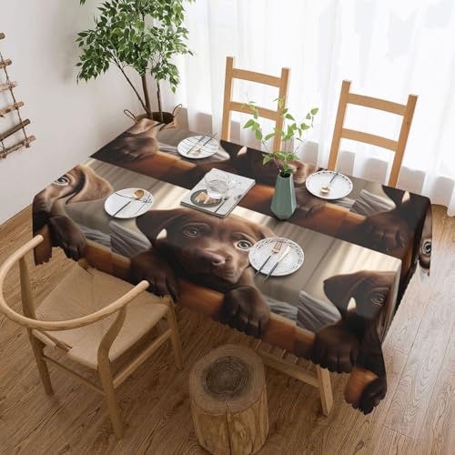 jingong Niedliche Tischdecke mit Labrador-Motiv, quadratisch, geeignet für Couchtische, Küchen, Restaurants und Schreibtisch-Dekoration von jingong