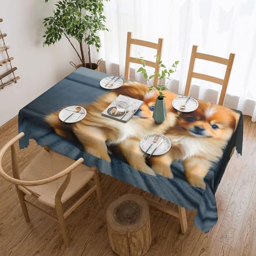 jingong Quadratische Tischdecke mit Zwergspitz-Welpen-Motiv, geeignet für Couchtische, Küchen, Restaurants und Schreibtisch-Dekoration jingong Quadratische Tischdecke mit Zwergspitz-Welpen-Motiv, geeignet für Couchtische, Küchen, Restaurants und Schreibtisch-Dekoration von jingong