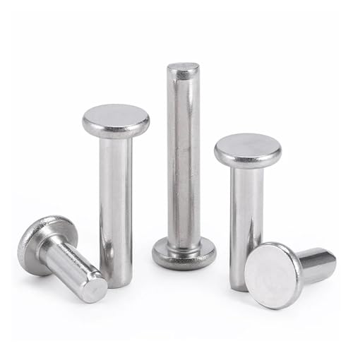 5–100 Stück M2 M2.5 M3 M4 M5 M6 M8 Nieten, runder Flachkopf, massive Schlagniete, Edelstahl 304, selbststopfende Schlagniete mit flachem Kopf(M2-100pcs,4mm) von jiuxinyun