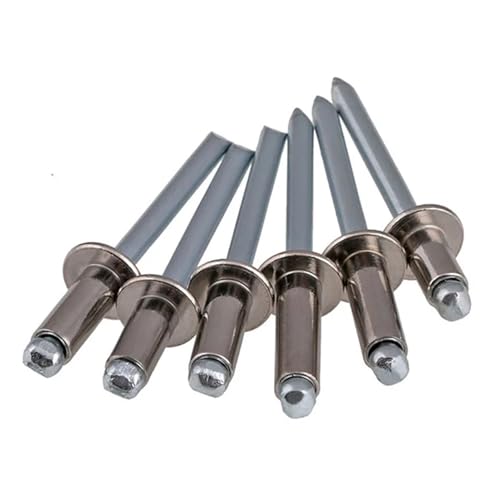 5–20 Stück 304 Edelstahl Rundkopf Pop Open Hohl Blindnieten Selbststeckende Niet Dekoration Nagel Rebite Blindniete(M4.0 (10Pcs),14mm) von jiuxinyun