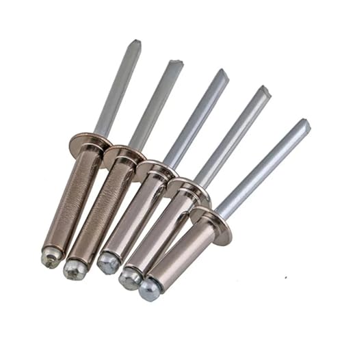 5–20 Stück 304 Edelstahl Rundkopf Pop Open Hohl Blindnieten Selbststeckende Niet Dekoration Nagel Rebite Blindniete(M6.4 (5Pcs),12mm) von jiuxinyun