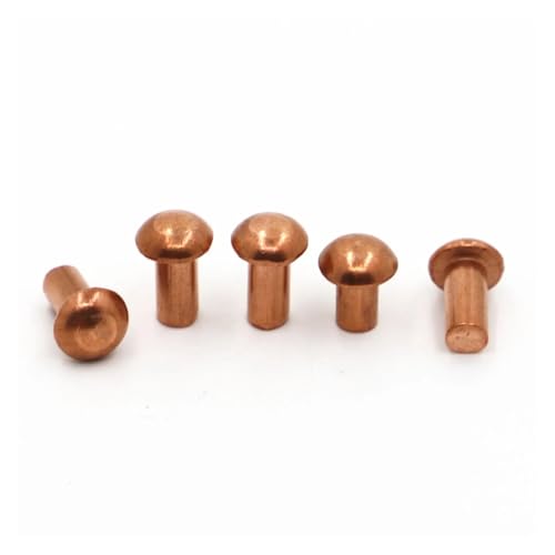 5–50 Stück M1.5 M2.0 M2.5 M3 M4 M5 M6 M8 Kupfer-Vollniet mit rundem Kopf, Legierung, selbststopfende Niete GB867(M4 5pcs,10mm) von jiuxinyun